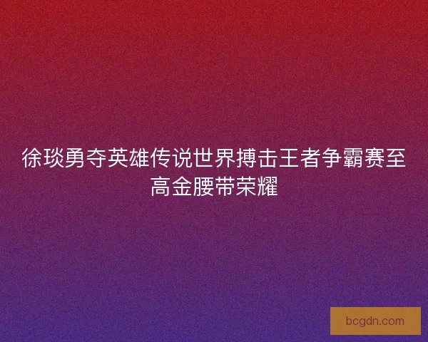 徐琰勇夺英雄传说世界搏击王者争霸赛至高金腰带荣耀