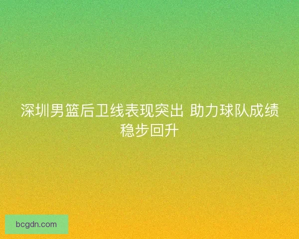 深圳男篮后卫线表现突出 助力球队成绩稳步回升